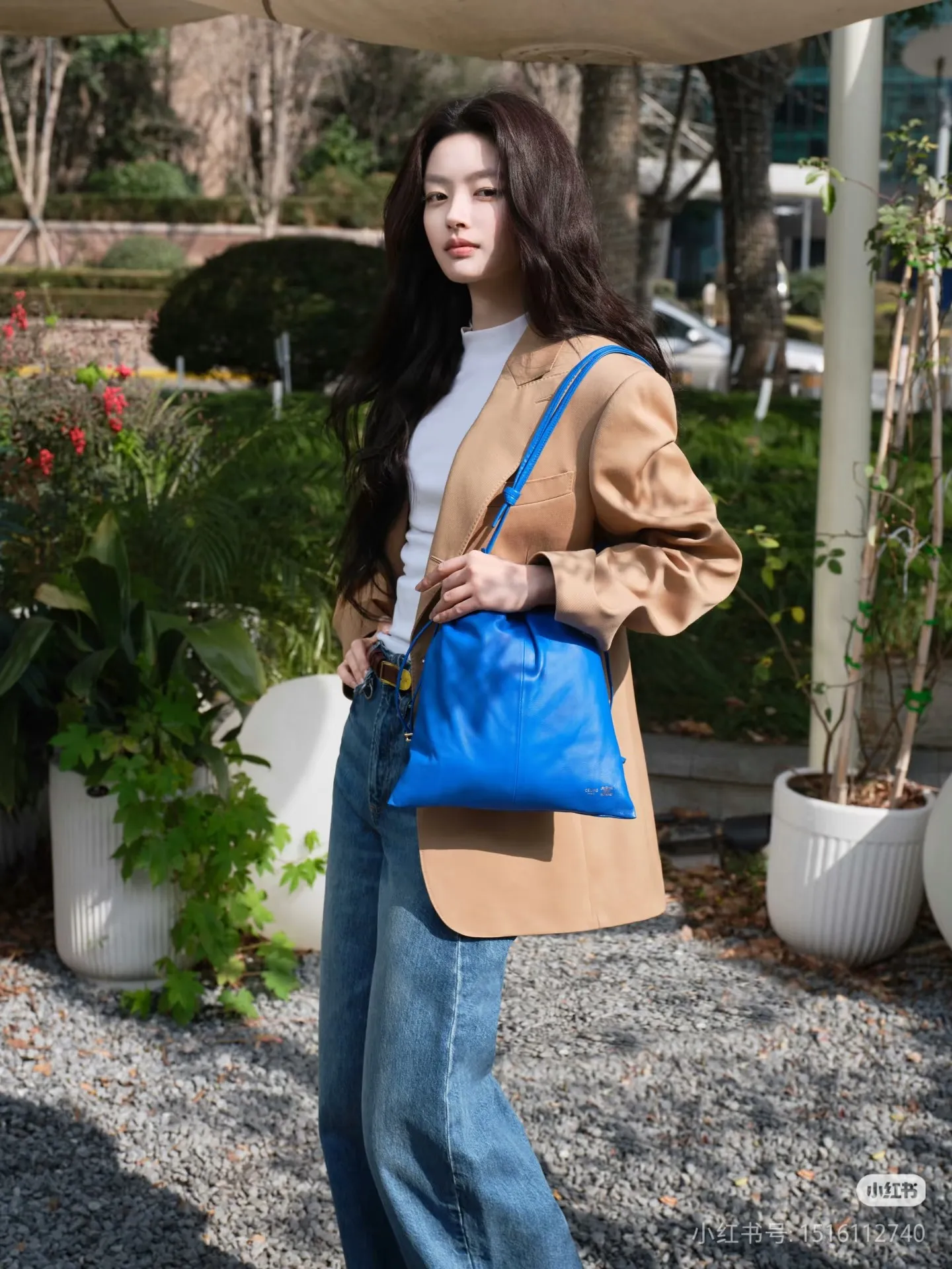 All categories Celine women's bags (Celine) Celine 123662