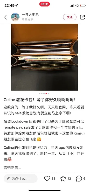 All Categories Celine Women's Bags (Celine) Celine 31535