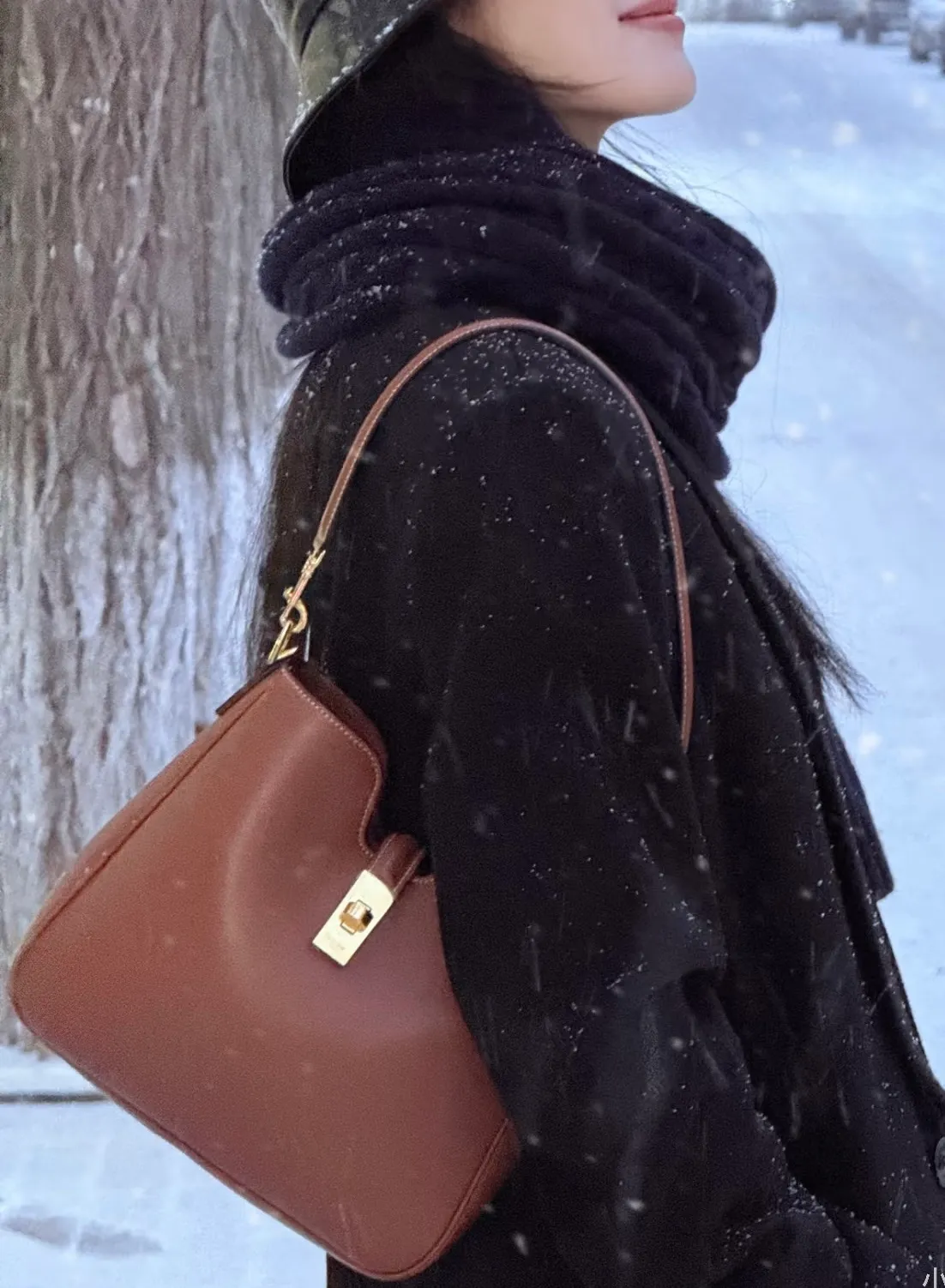 All categories Celine women's bags (Celine) Celine original order 119563