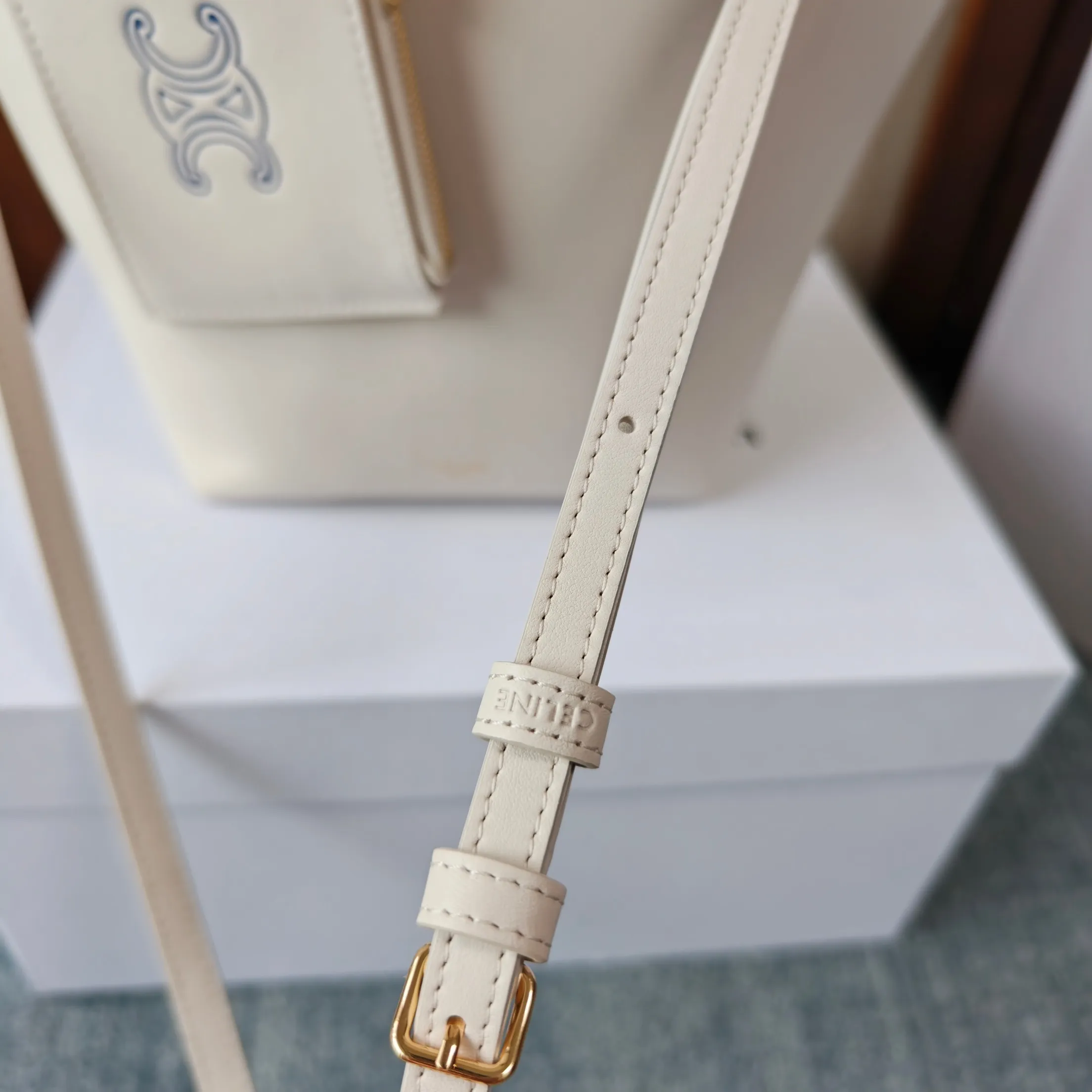 All Categories Celine Women's Bags (Celine) Celine 110113