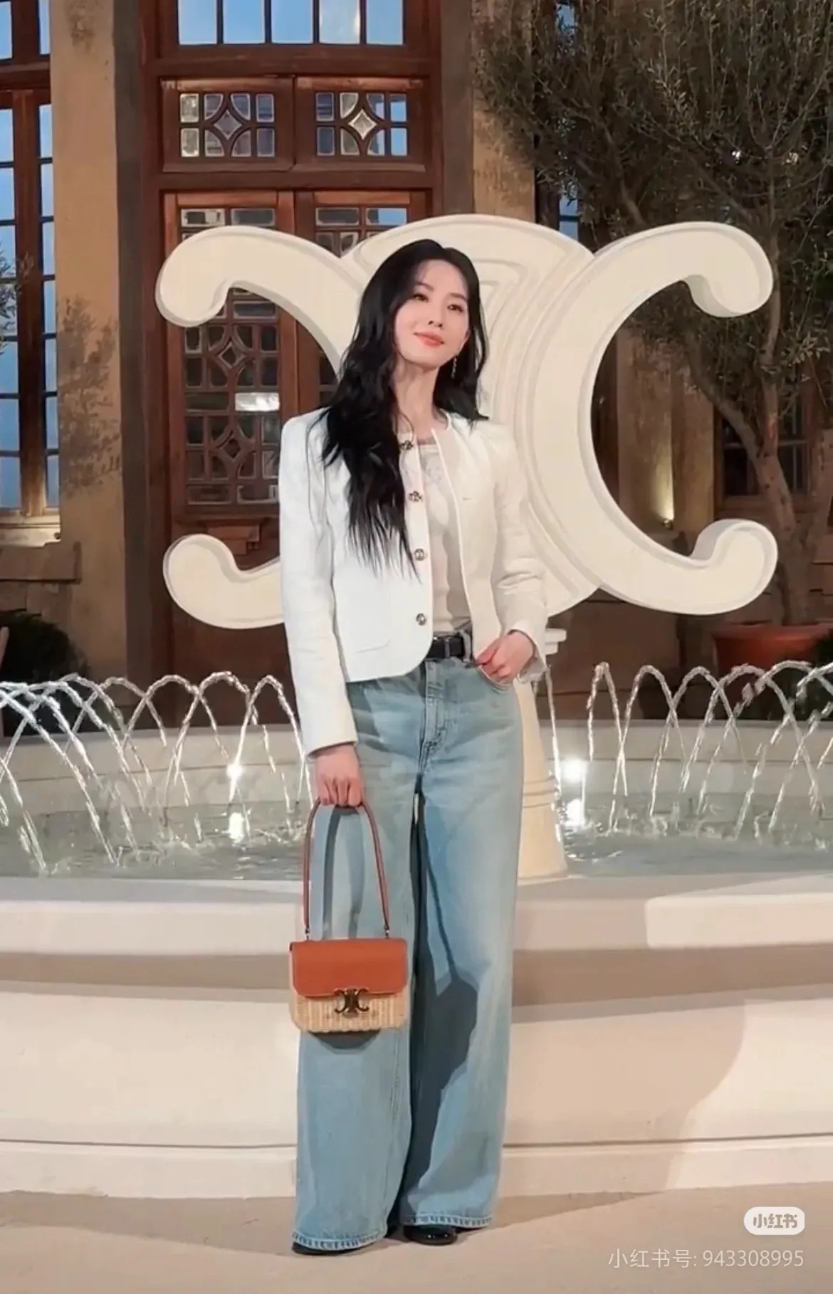 All Categories Celine Women's Bags (Celine) Celine 118053