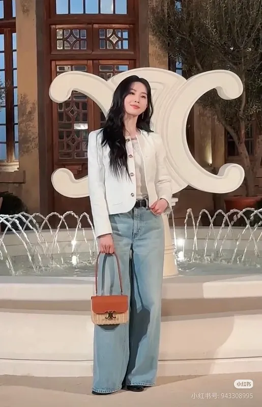 All Categories Celine Women's Bags (Celine) Celine 118053