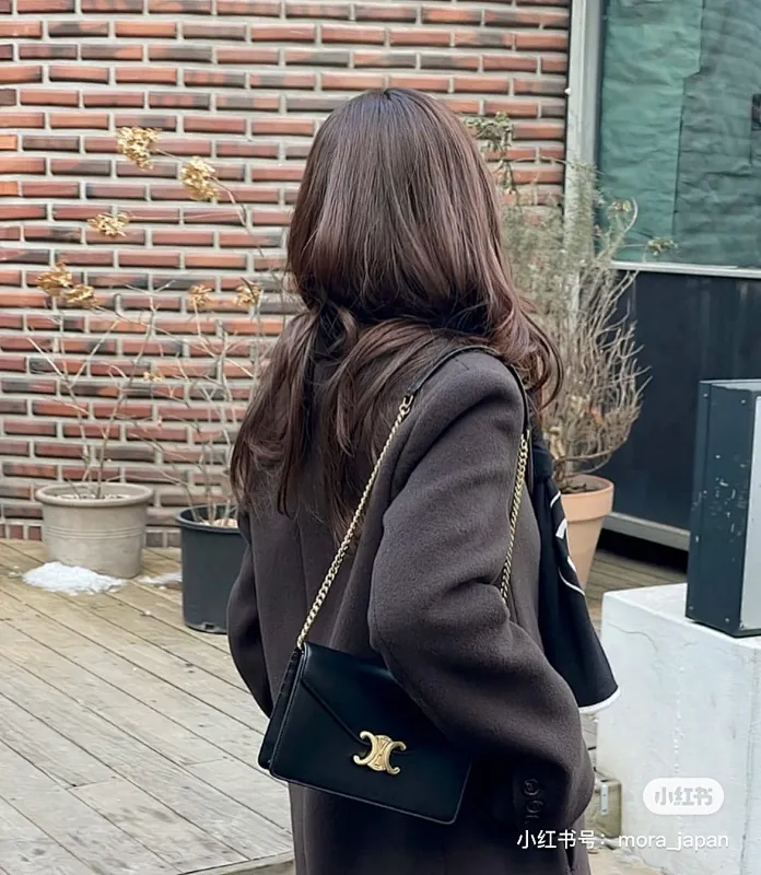 All Categories Celine Women's Bags (Celine) Celine 1913