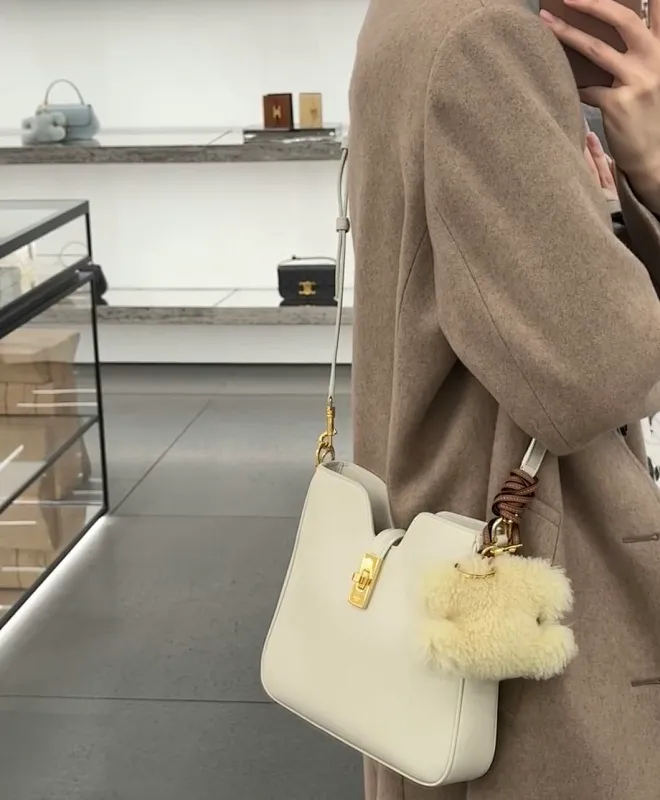 All categories Celine women's bags (Celine) Celine original order 120693