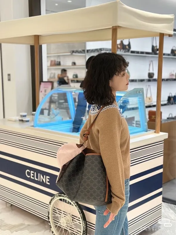 All Categories Celine Women's Bags (Celine) Celine 3253