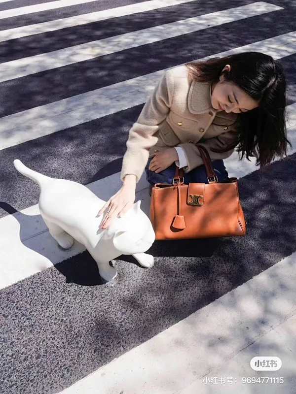 All categories Celine women's bags (Celine) Celine original order 114963
