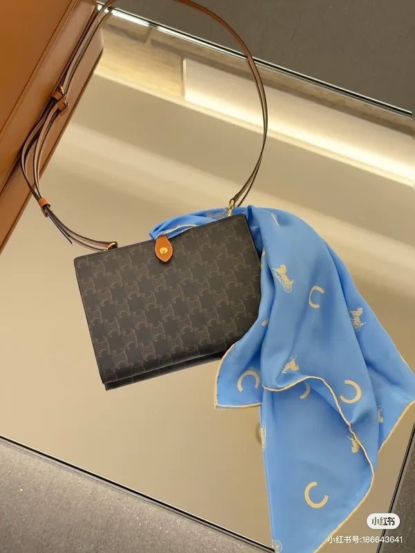 All Categories Celine Women's Bags (Celine) Celine Original Order L10806