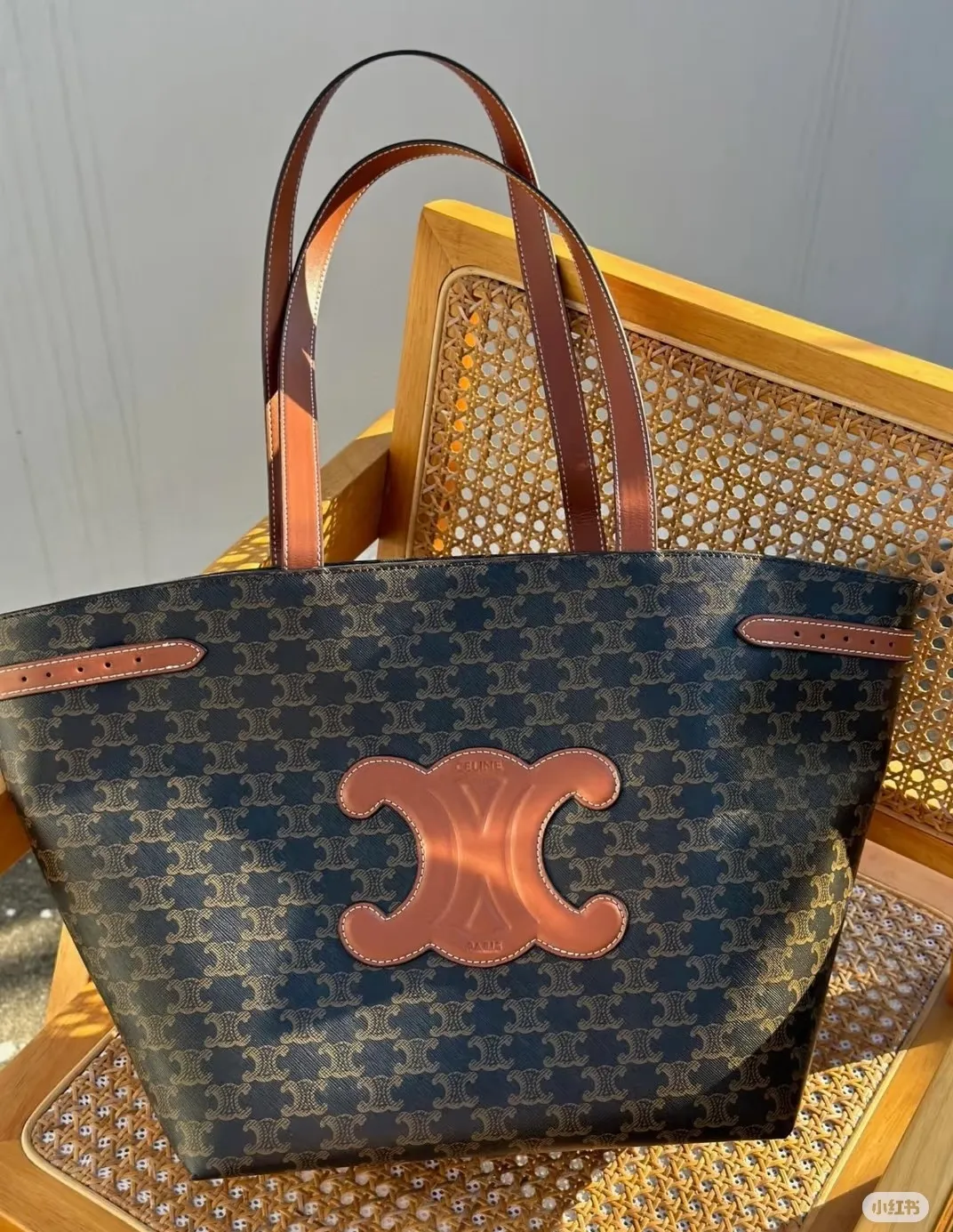 All Categories Celine Women's Bags (Celine) Celine 120