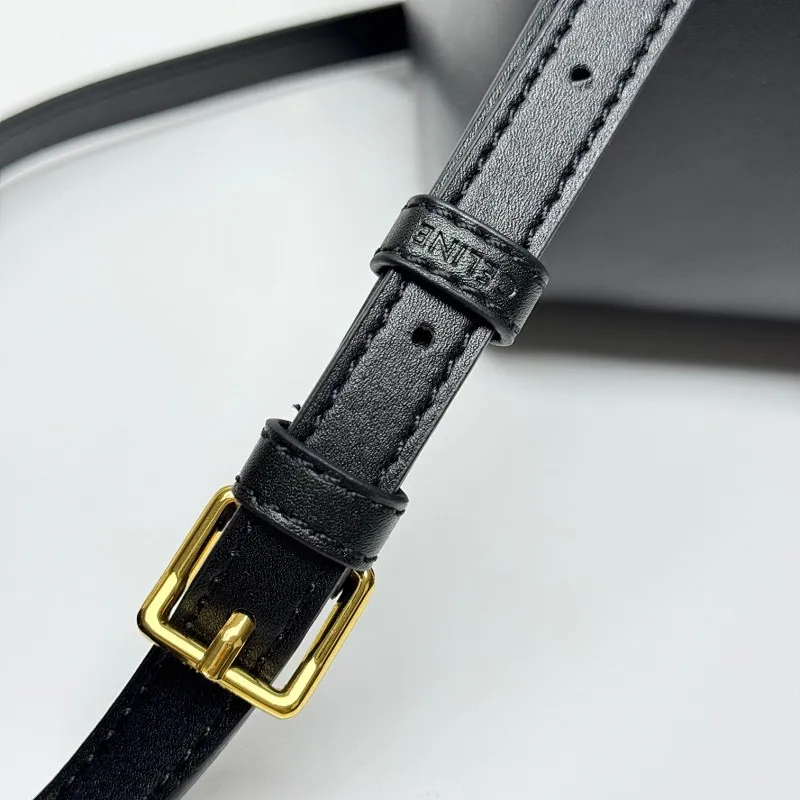 All Categories Celine Women's Bags (Celine) Celine 041