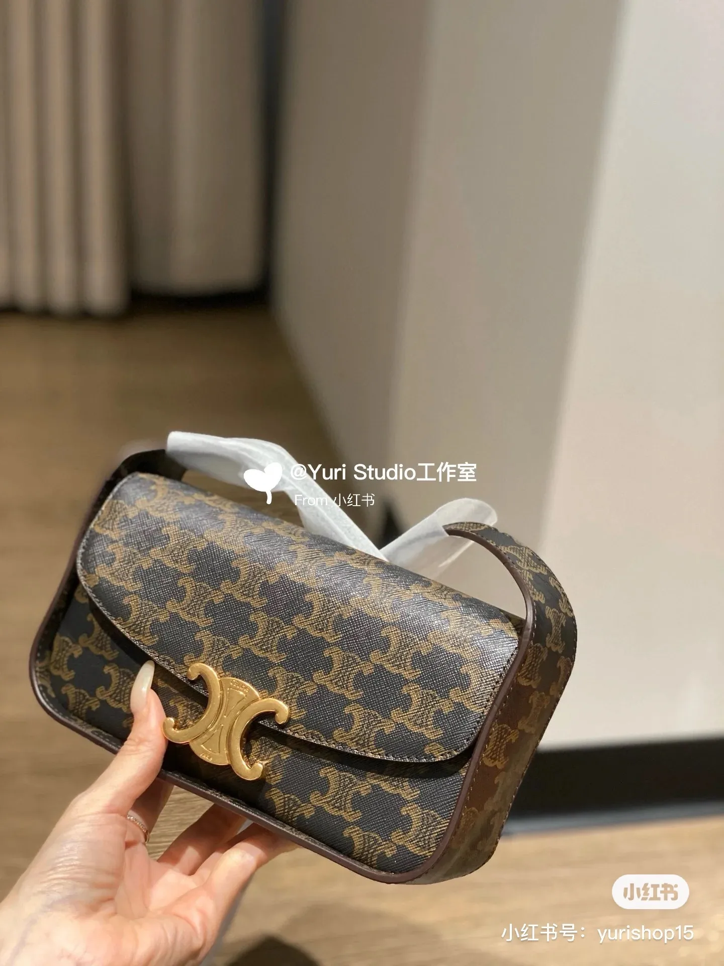 All Categories Celine Women's Bags (Celine) Celine 2055