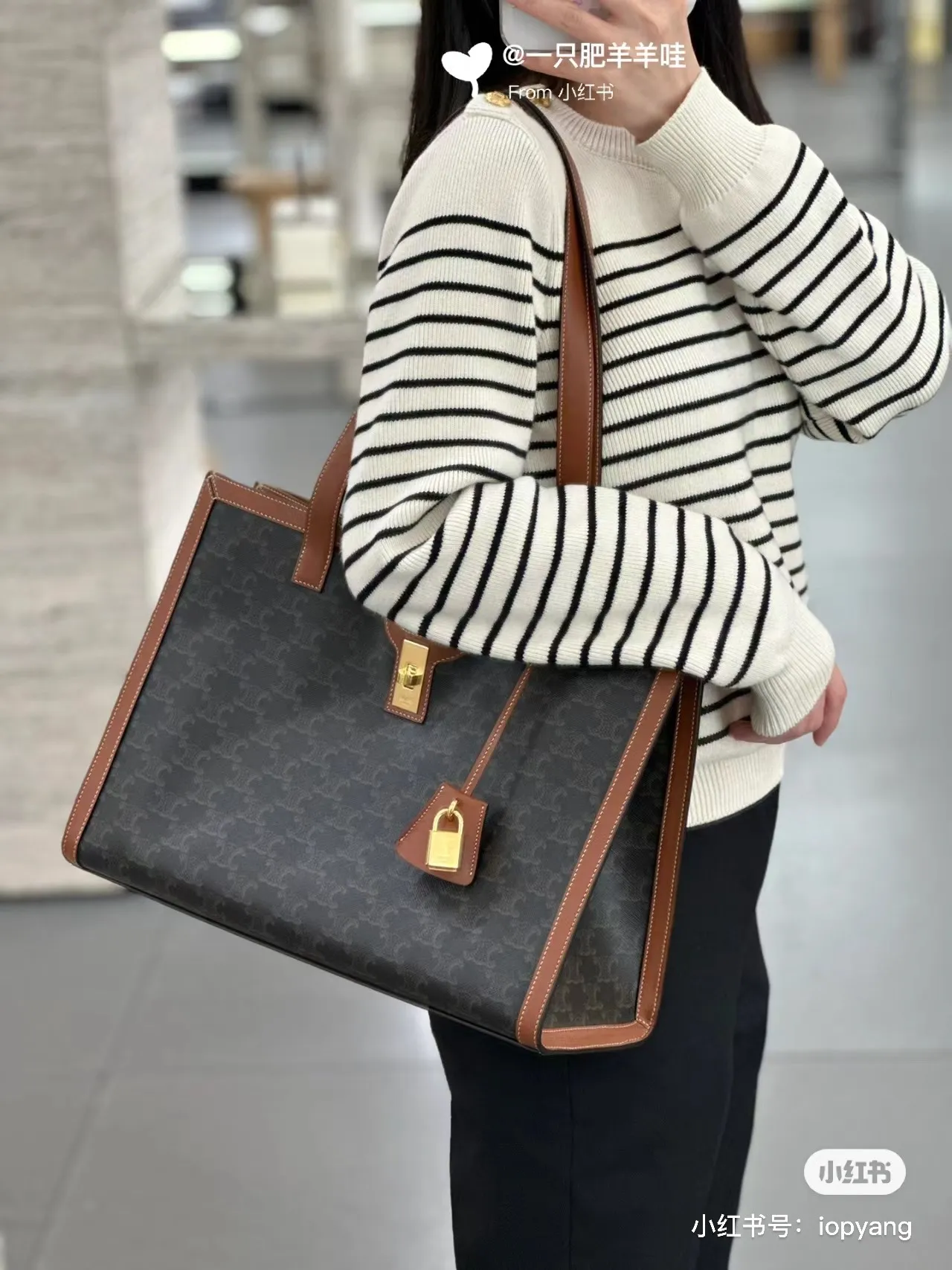 All categories Celine women's bags (Celine) Celine original order 112583