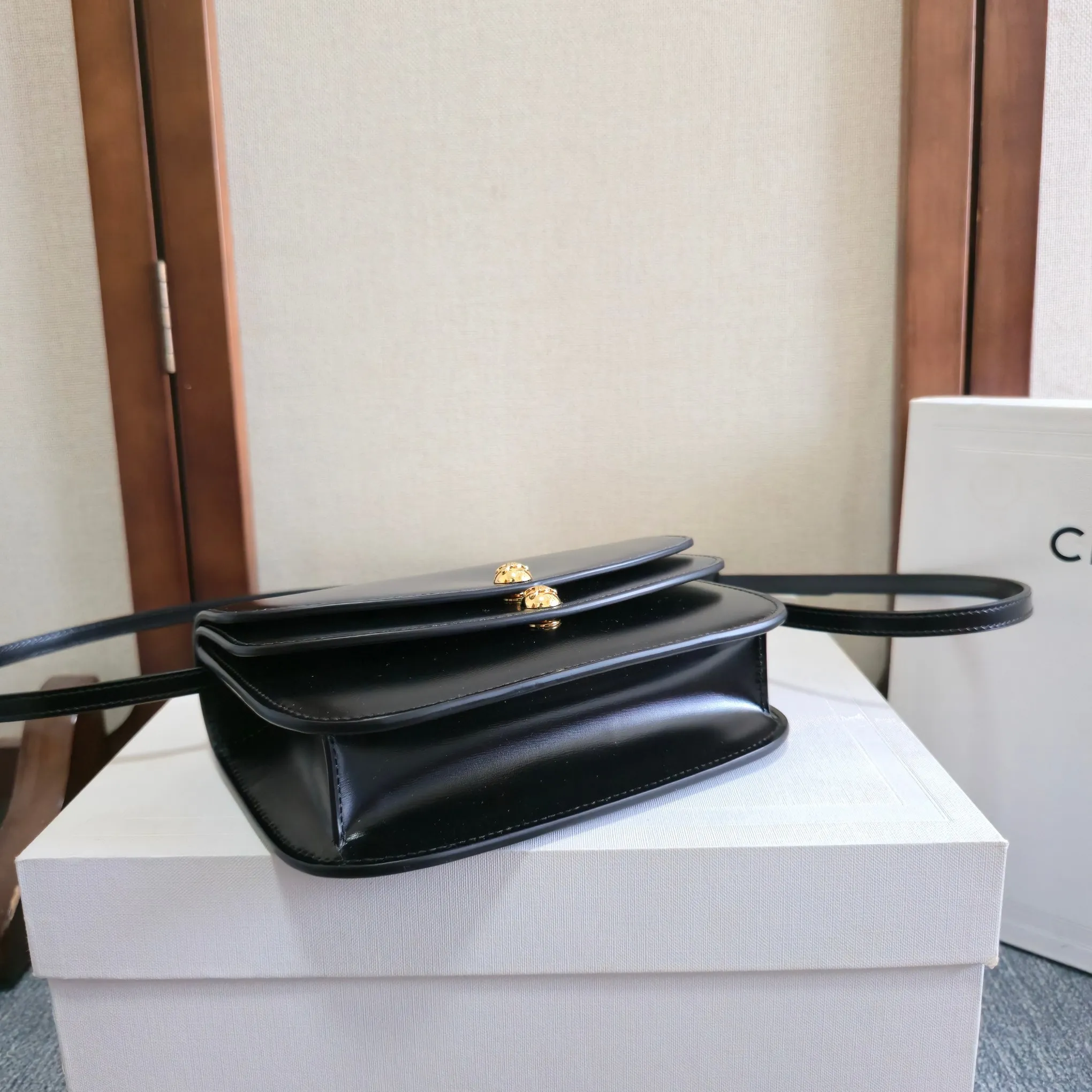 All categories Celine women's bags (Celine) Celine original order 101673
