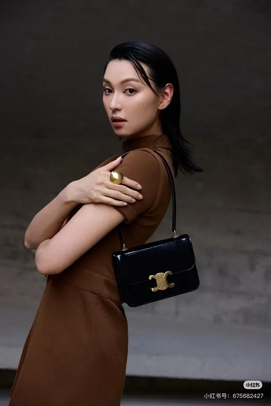 All categories Celine women's bags (Celine) Celine original order 118053