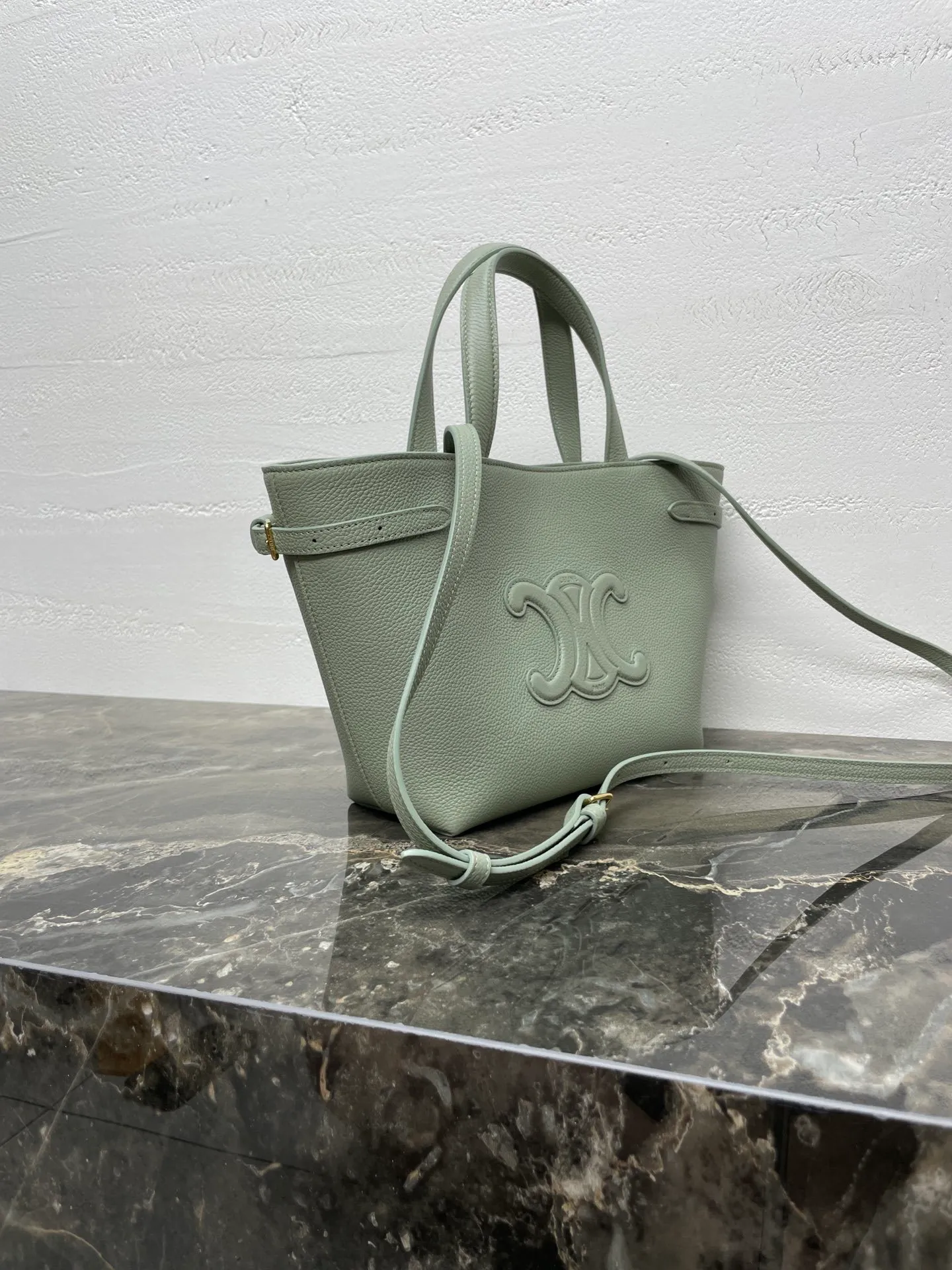 All Categories Celine Women's Bags (Celine) Celine Special 118613