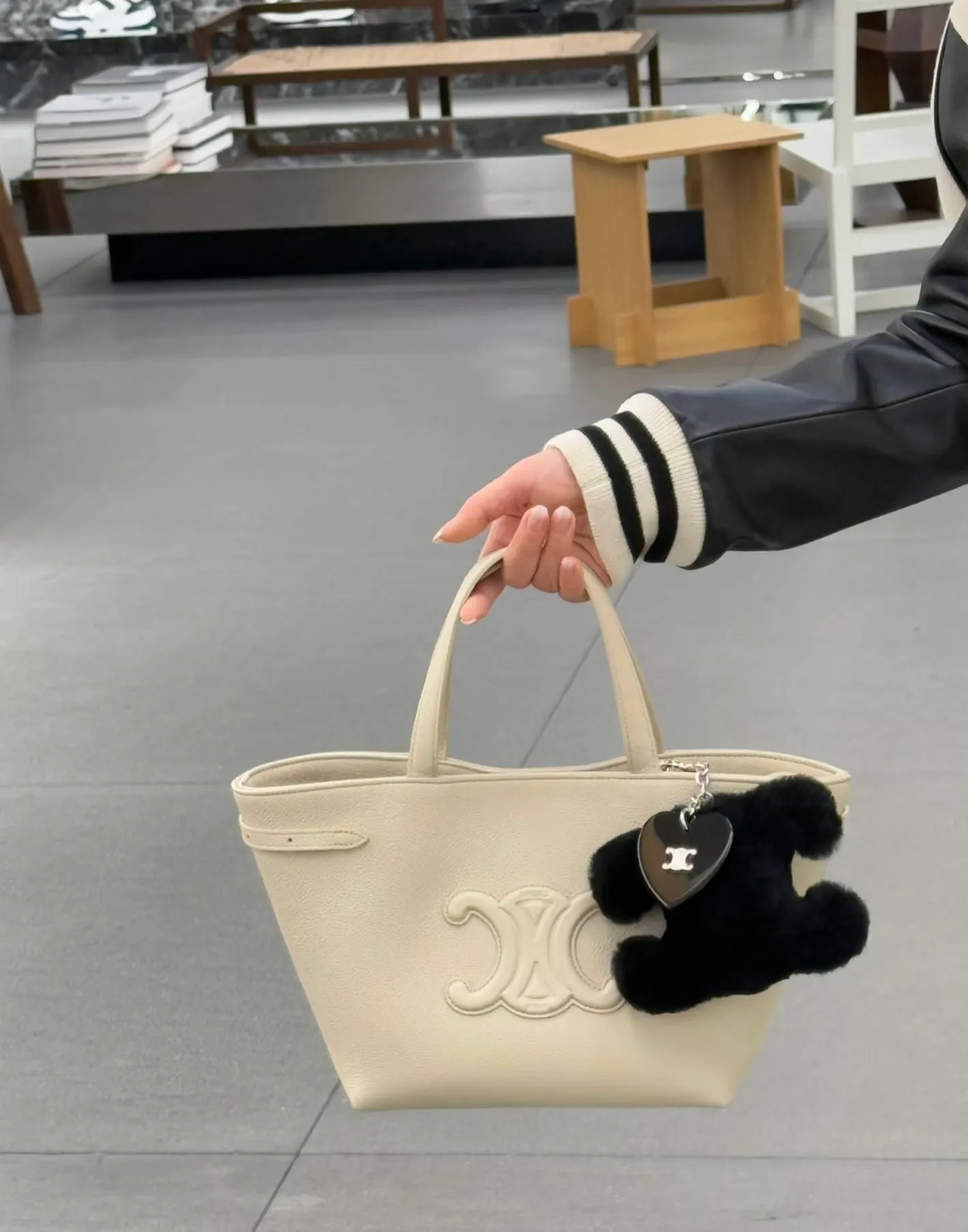 All Categories Celine Women's Bags (Celine) Celine Special 118613