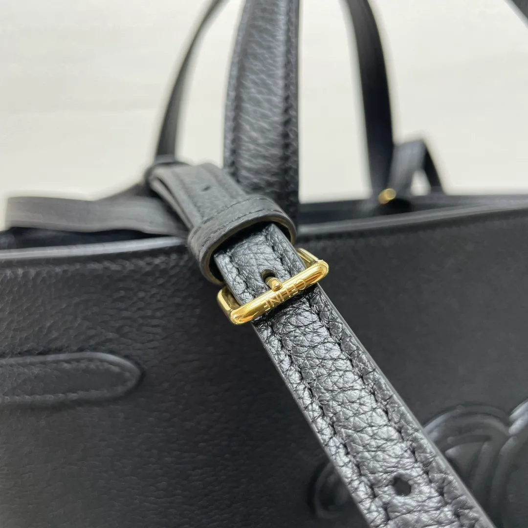 All Categories Celine Women's Bags (Celine) Celine Special 118613