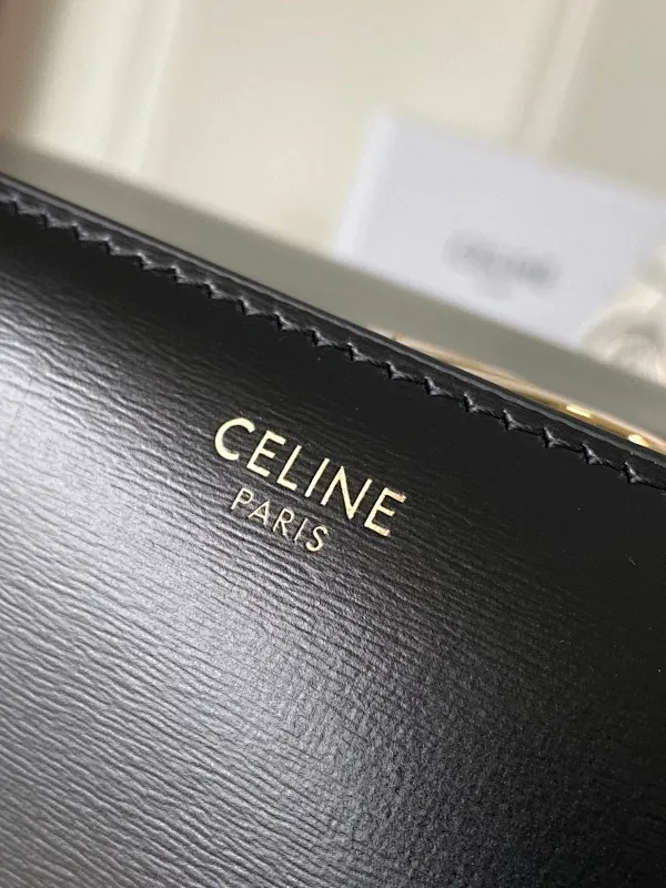 All Categories Celine Women's Bags (Celine) Celine Original Order 255