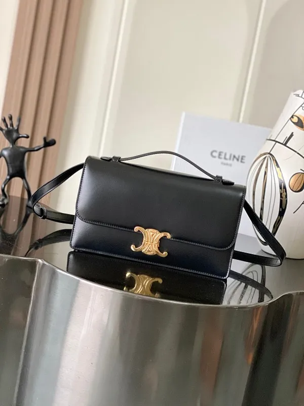 All Categories Celine Women's Bags (Celine) Celine Original Order 255