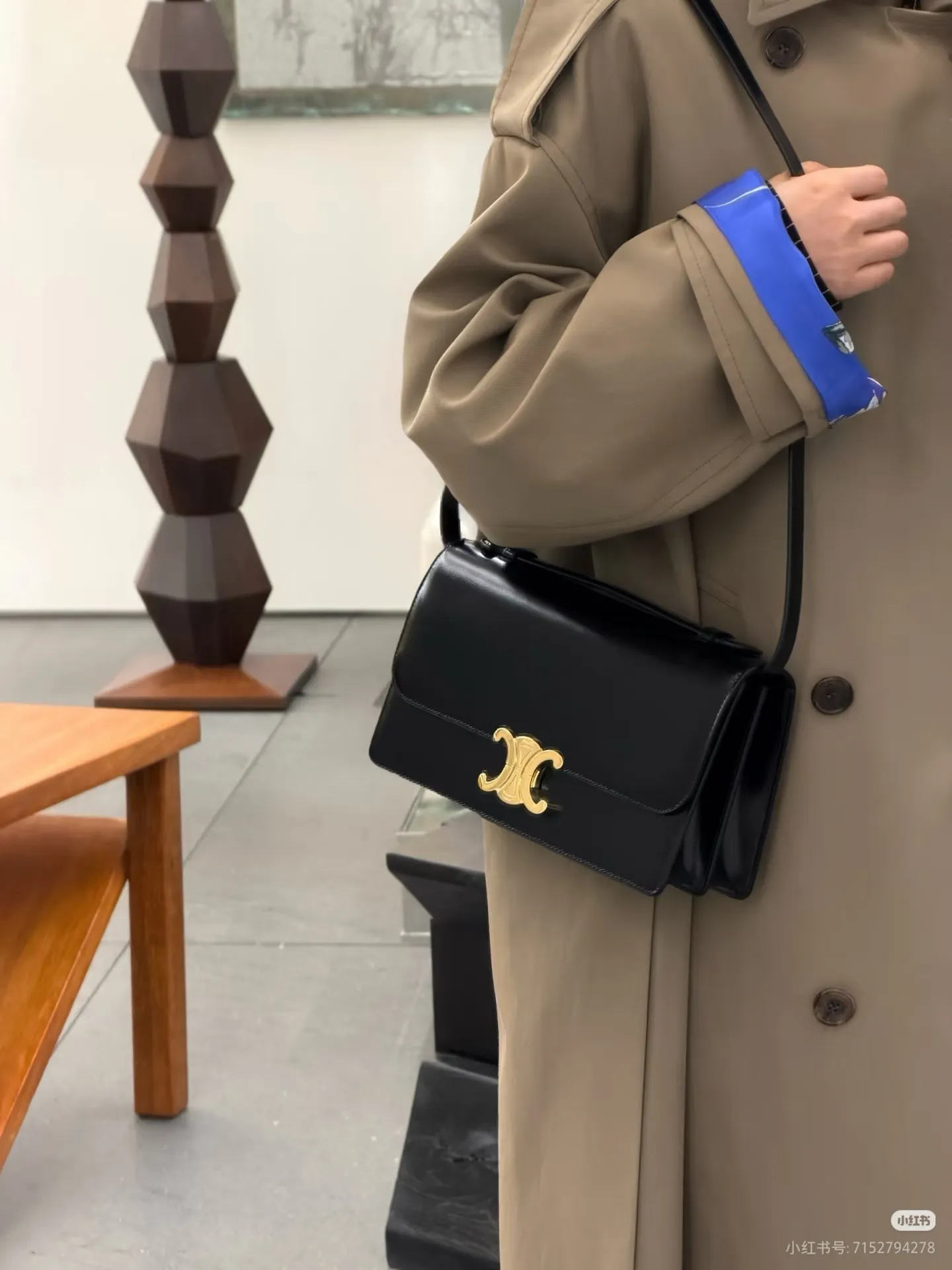 All Categories Celine Women's Bags (Celine) Celine Original Order 255