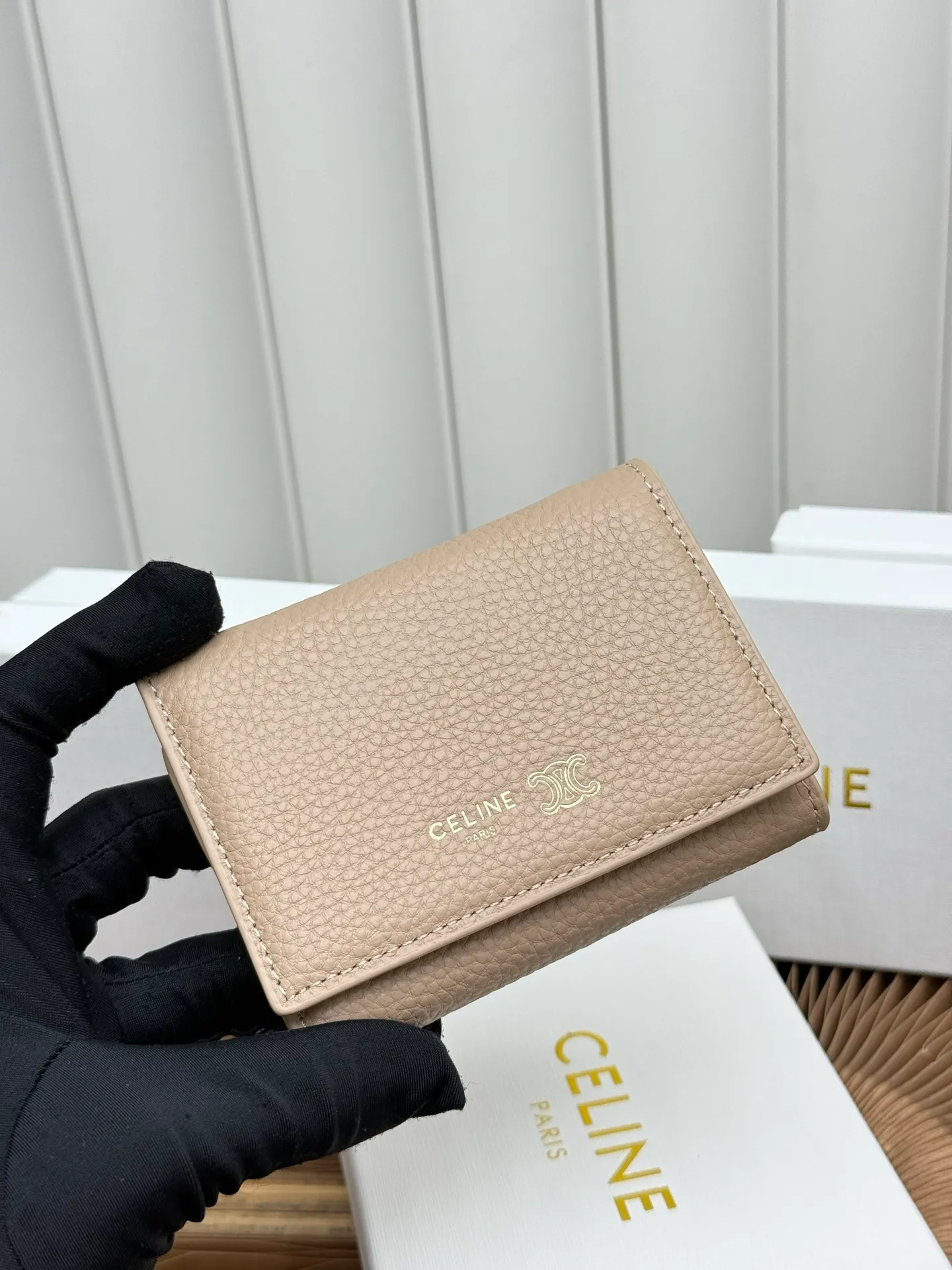 All Categories Celine Women's Bags (Celine) Celine L100654