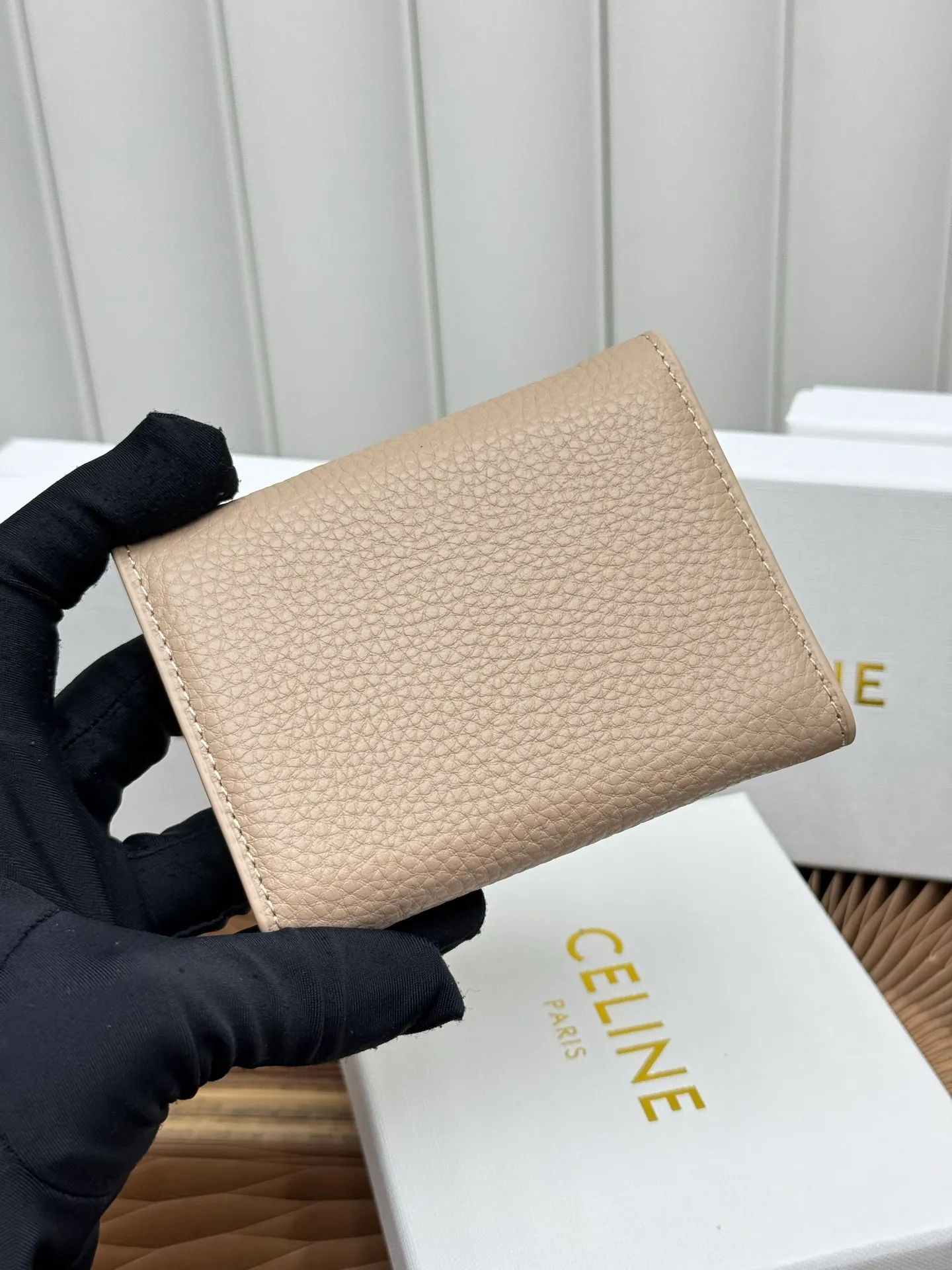 All Categories Celine Women's Bags (Celine) Celine L100654