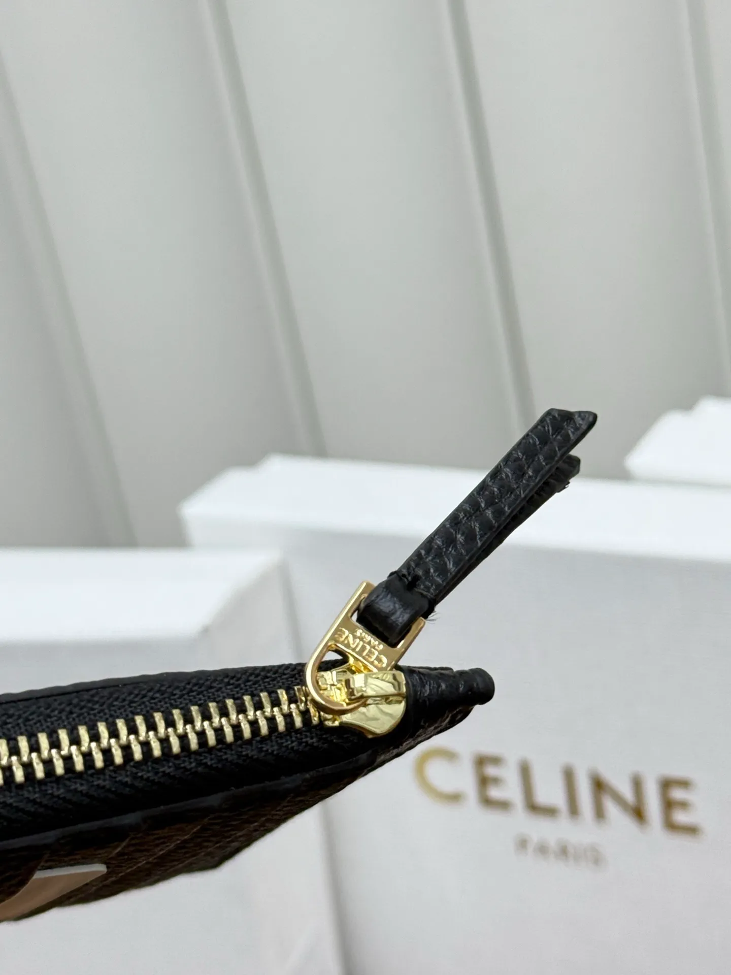 All Categories Celine Women's Bags (Celine) Celine L100854