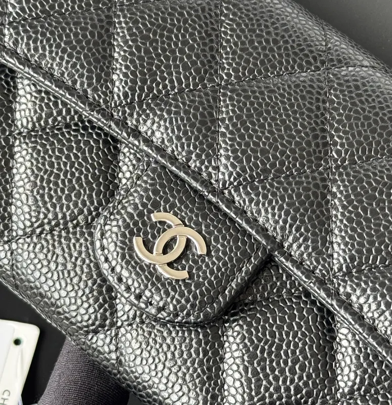 All Categories Chanel Wallet (Chanel) Chanel Original Order AP80838