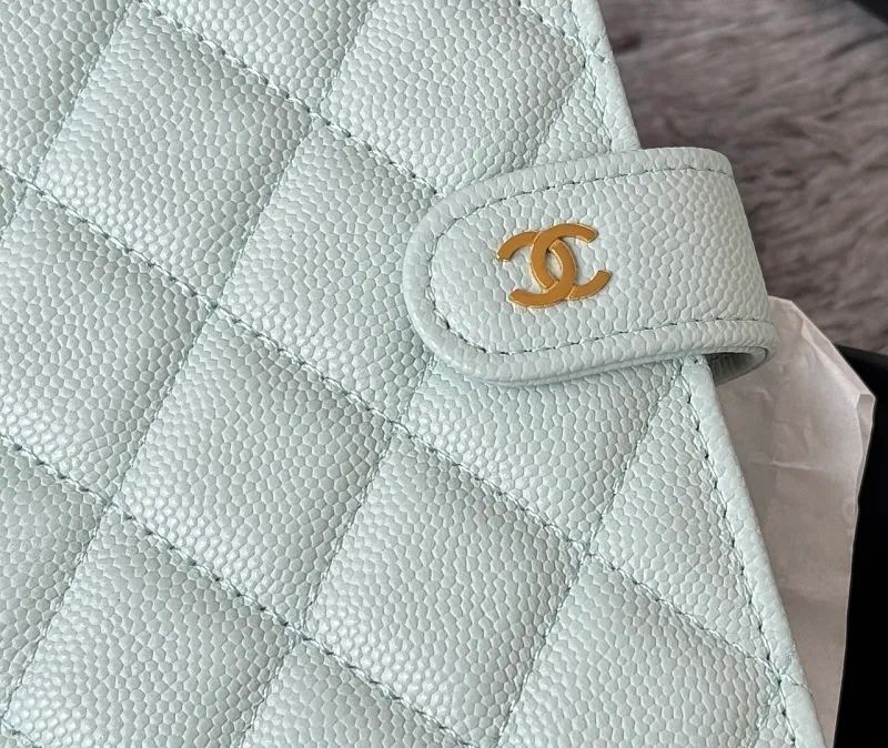 All Categories Chanel Wallet (Chanel) Chanel Original Order AP3266