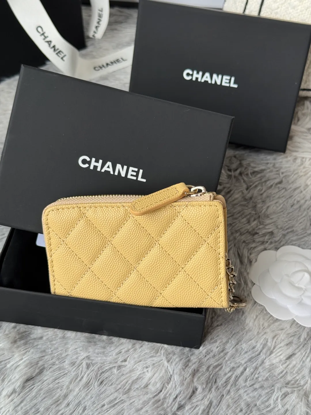 All Categories Chanel Wallet (Chanel) Chanel AP291