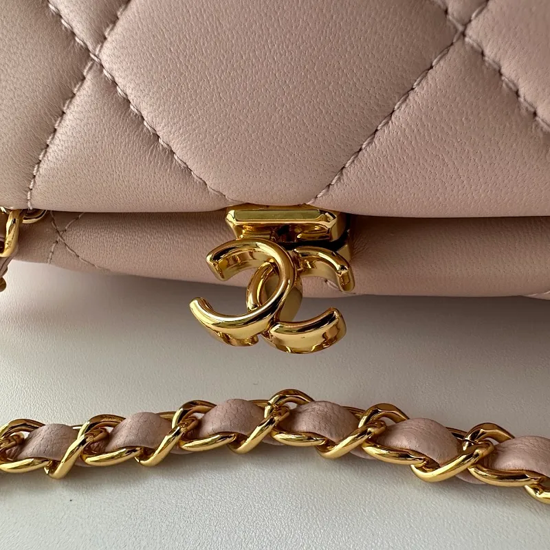 All Categories Chanel Wallet (Chanel) Chanel 5253