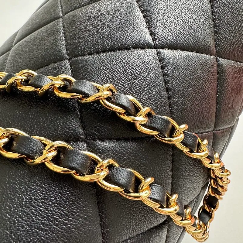 All Categories Chanel Wallet (Chanel) Chanel 5253