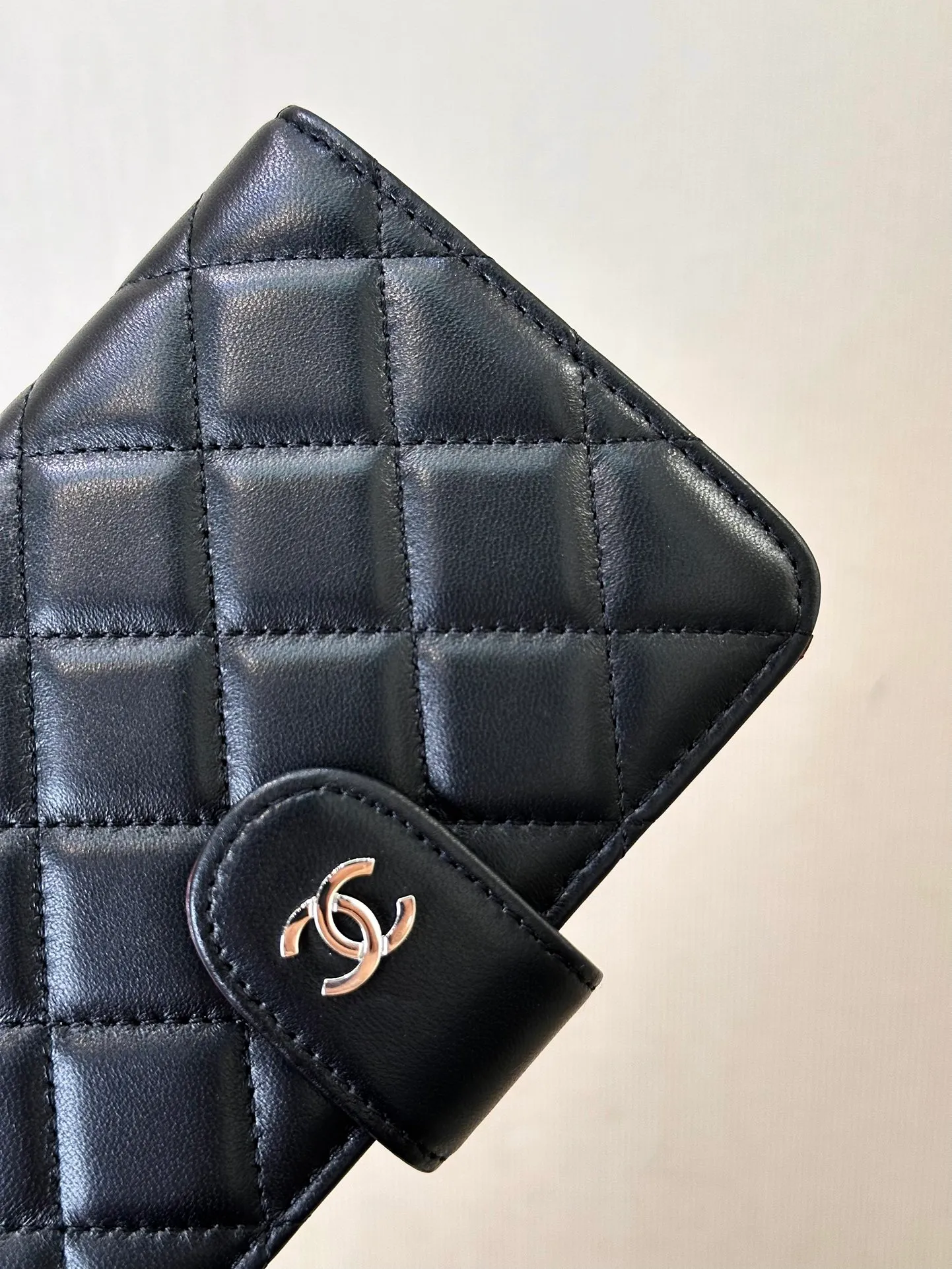 48667 Black Silver Sheep 480💰