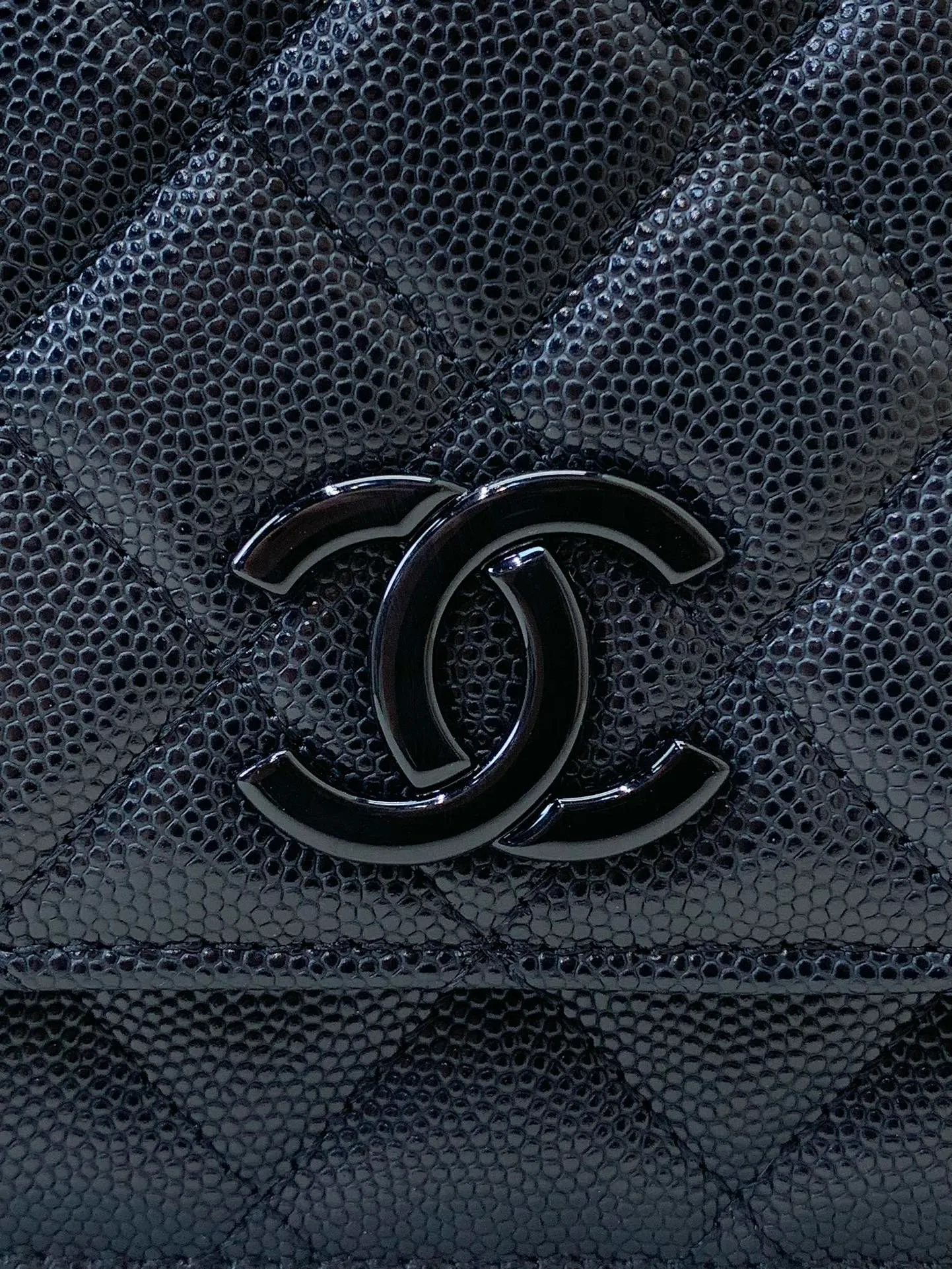 81059 black