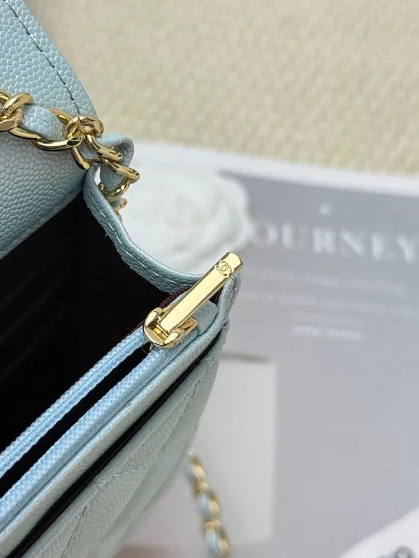 All categories Chanel Wallet (Chanel) Chanel 2050