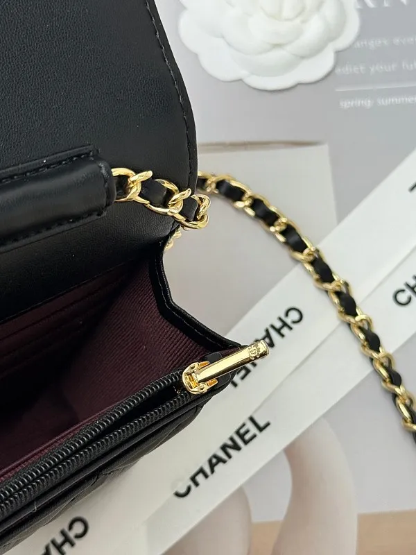 All categories Chanel Wallet (Chanel) Chanel 2050