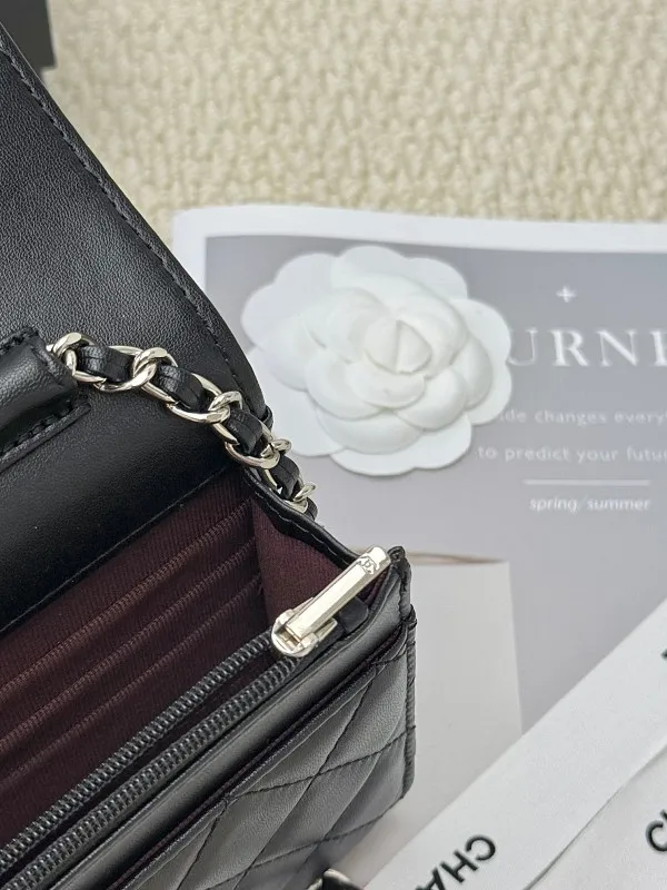 All categories Chanel Wallet (Chanel) Chanel 2050