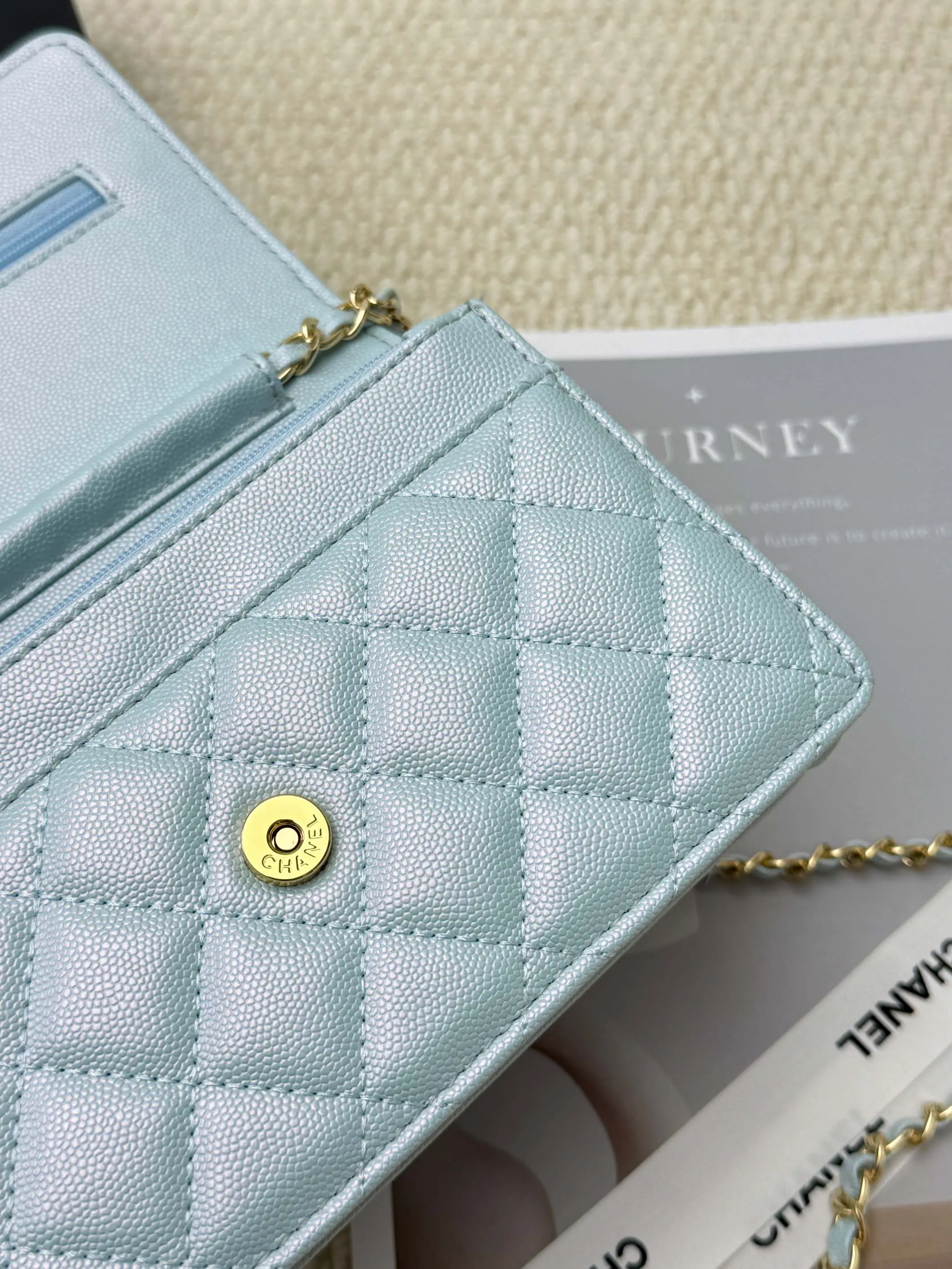 All categories Chanel Wallet (Chanel) Chanel 2050