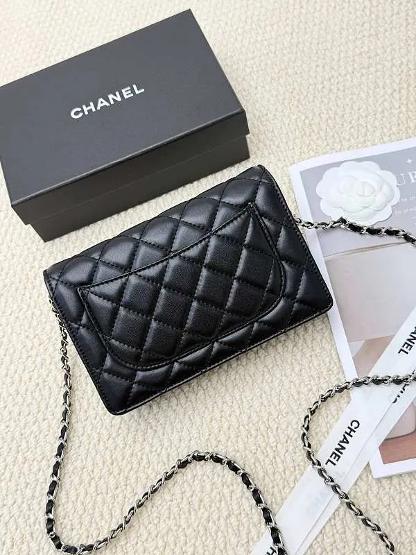 All categories Chanel Wallet (Chanel) Chanel 2050