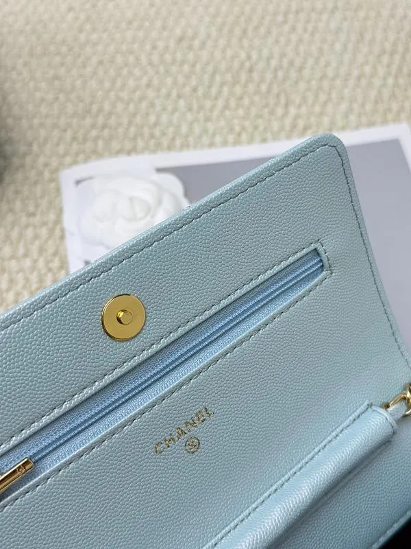 All categories Chanel Wallet (Chanel) Chanel 2050