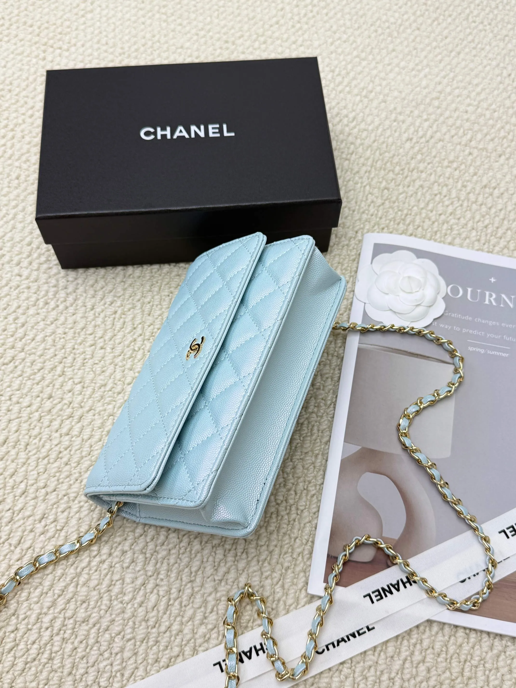 All categories Chanel Wallet (Chanel) Chanel 2050