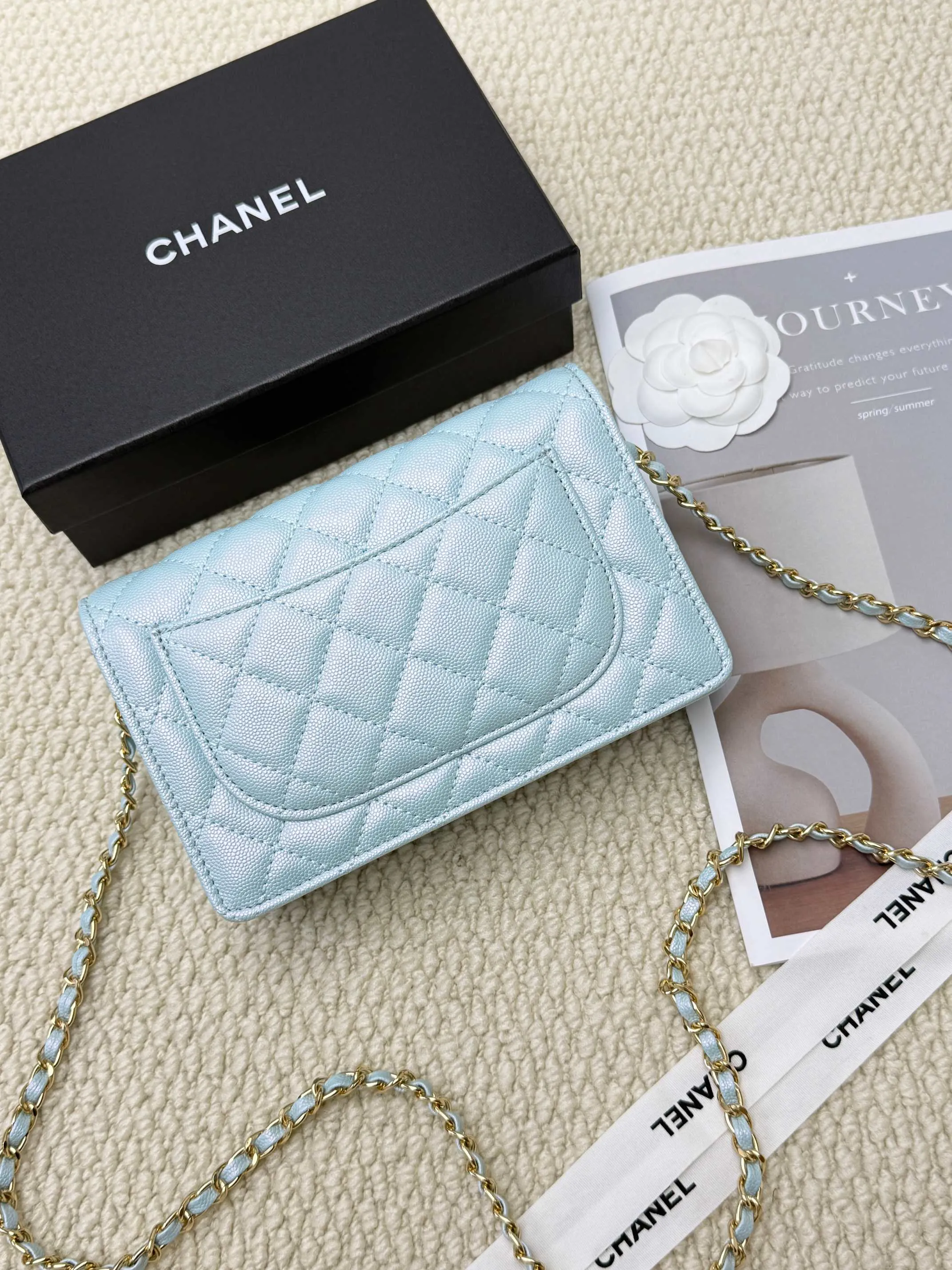All categories Chanel Wallet (Chanel) Chanel 2050