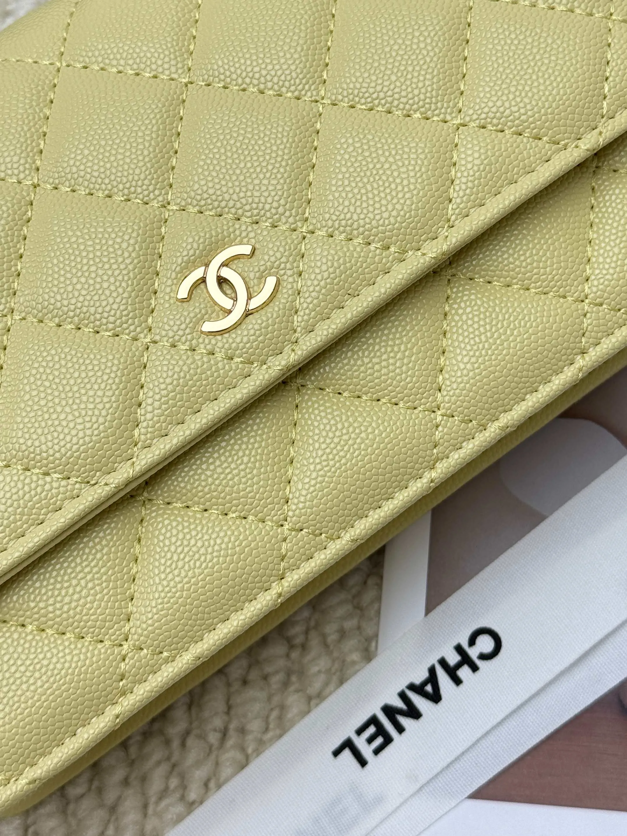 All categories Chanel Wallet (Chanel) Chanel 2050