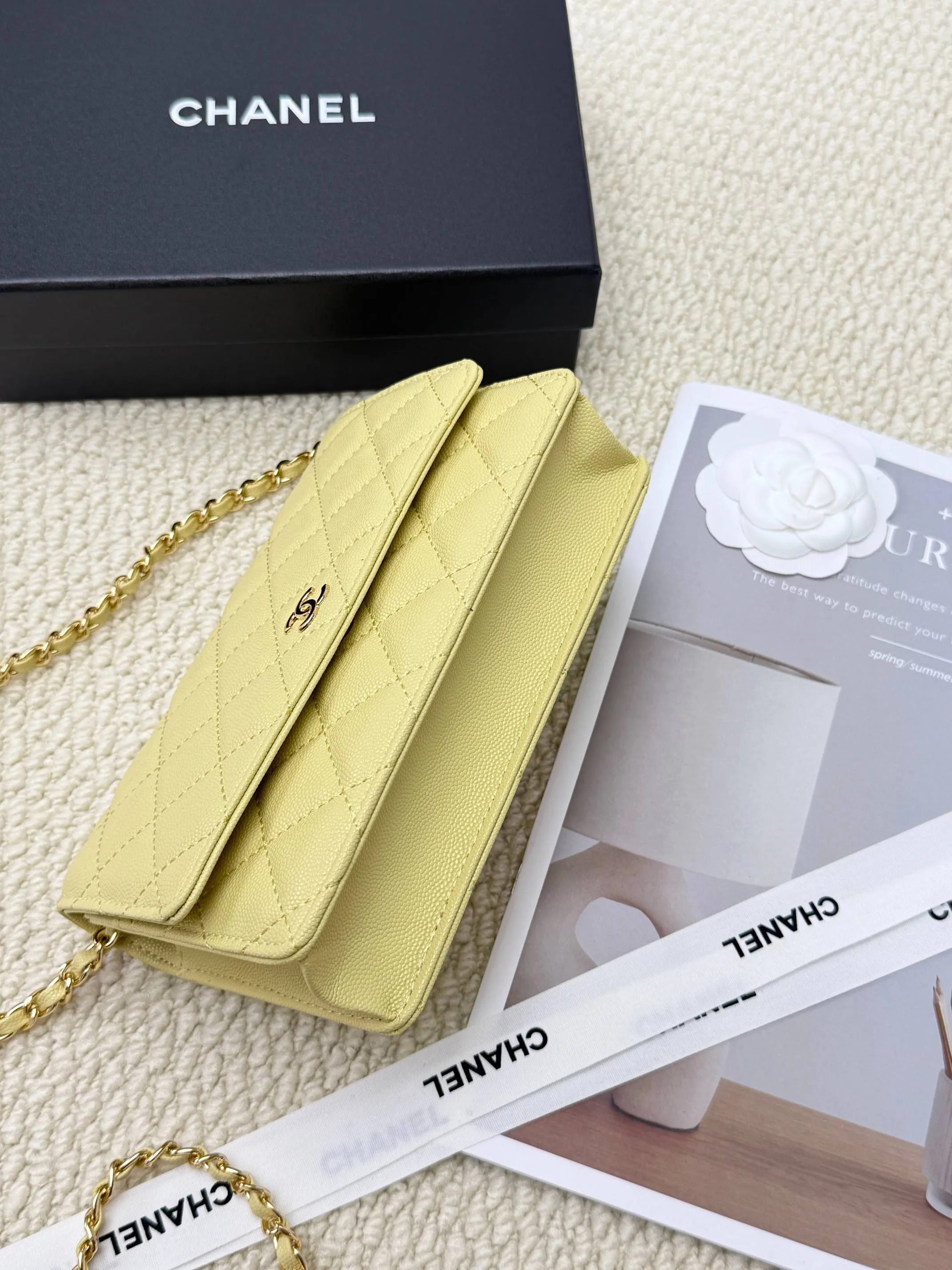 All categories Chanel Wallet (Chanel) Chanel 2050