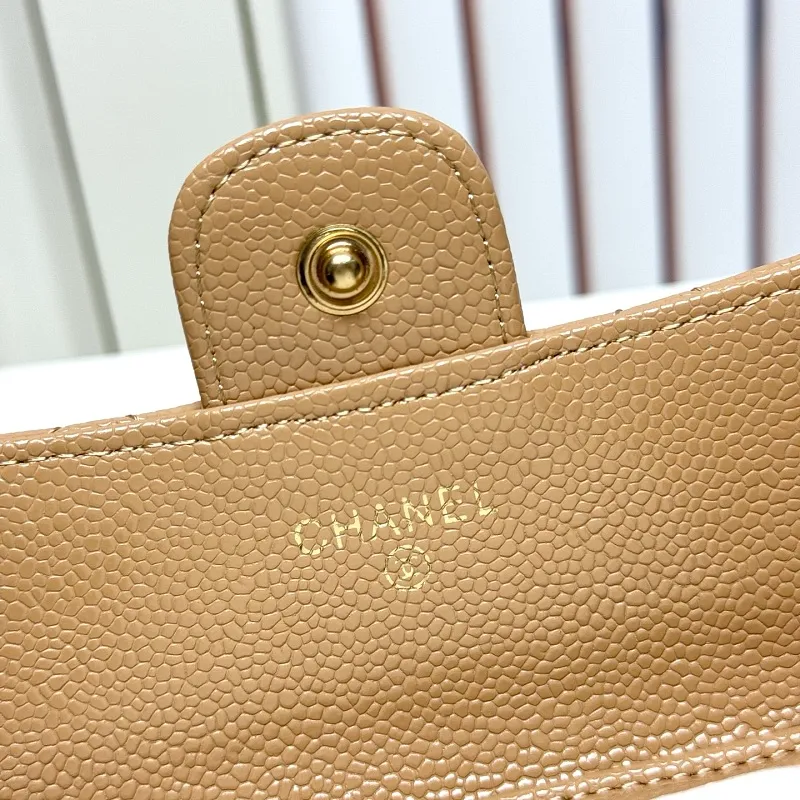 All Categories Chanel Wallet (Chanel) Chanel A50076
