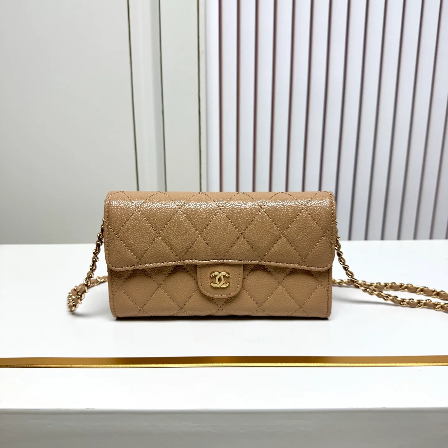 All Categories Chanel Wallet (Chanel) Chanel A50076