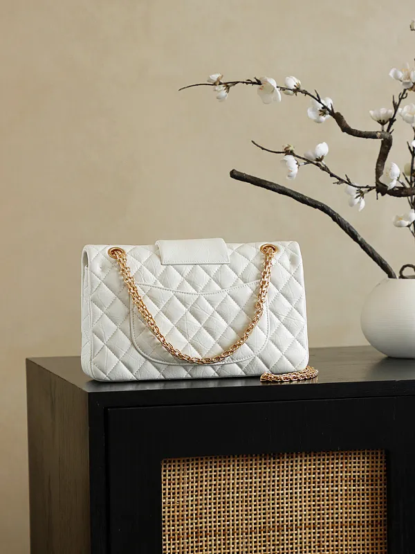 All Categories Chanel Women's Bags (Chanel) Chanel 255