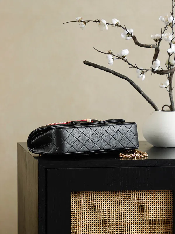 All Categories Chanel Women's Bags (Chanel) Chanel 255