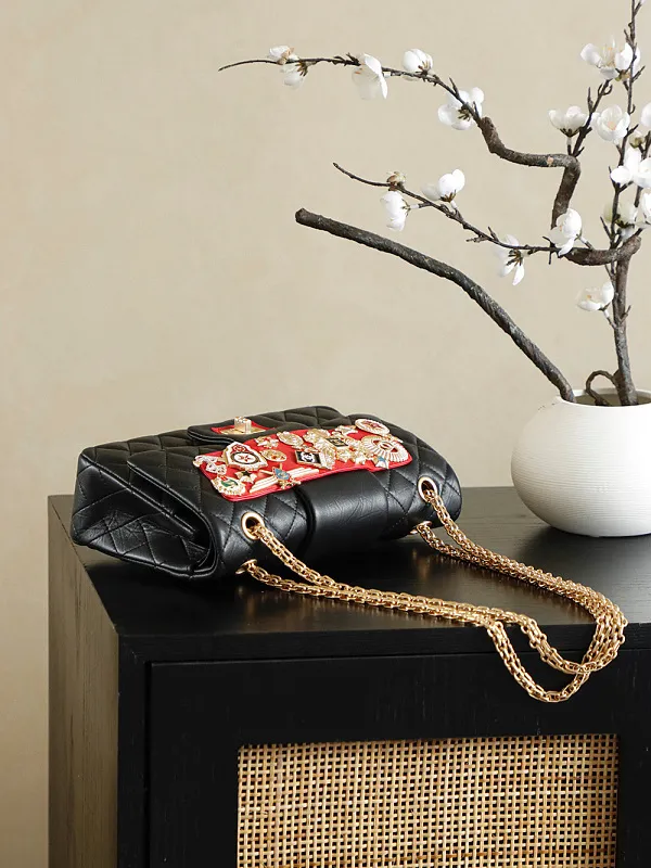All Categories Chanel Women's Bags (Chanel) Chanel 255