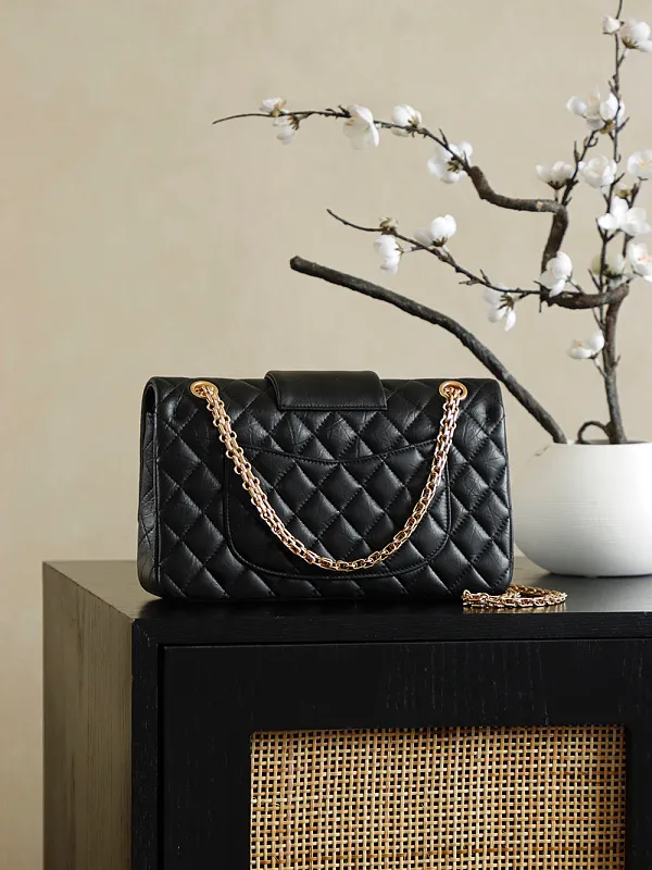 All Categories Chanel Women's Bags (Chanel) Chanel 255