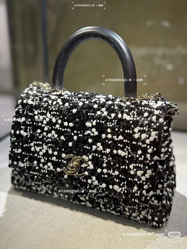 All Categories Chanel Women's Bags 2 (Chanel) Chanel 2215